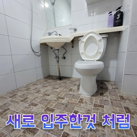 공통이미지