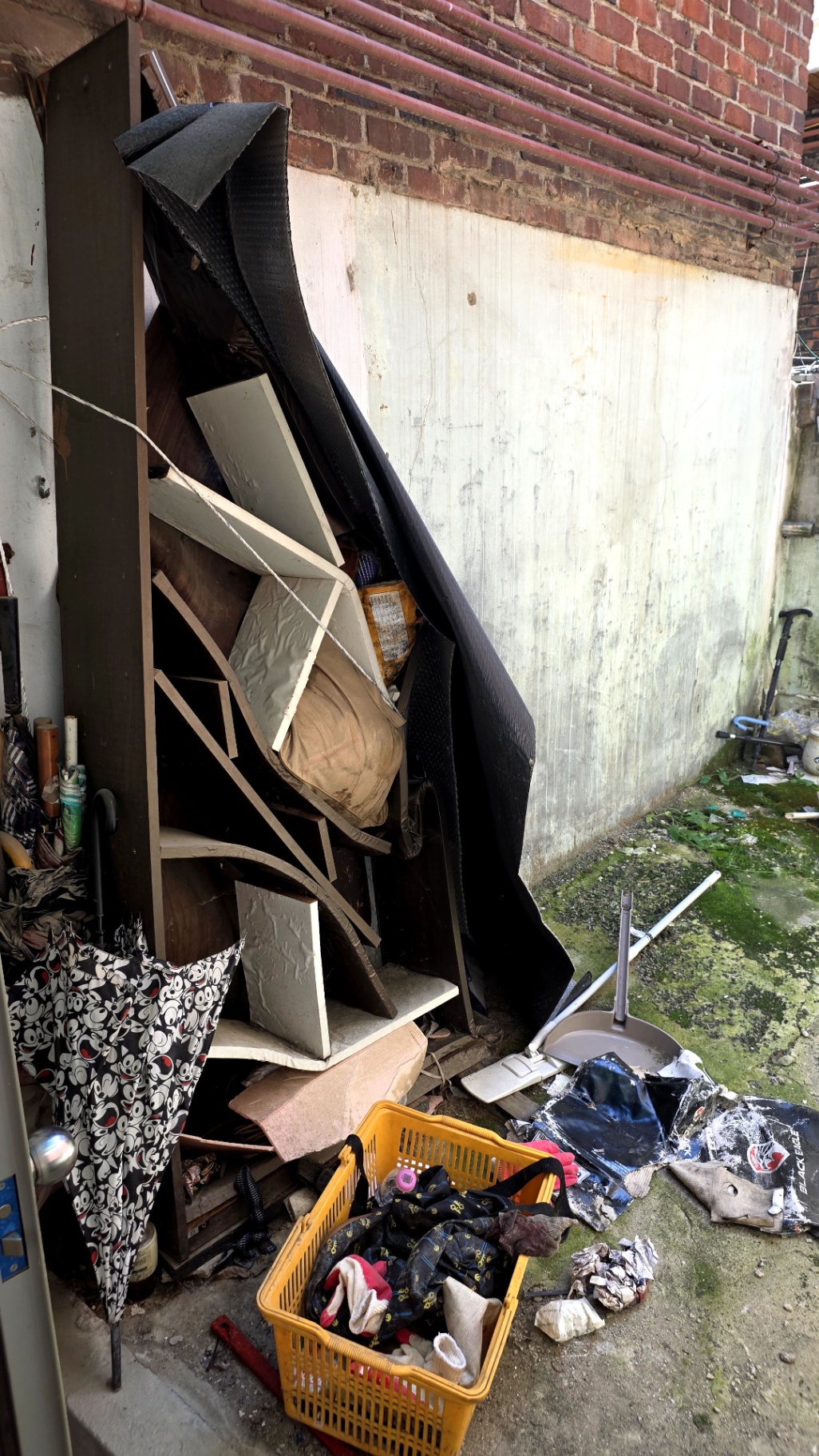 review-post-1780587382124-mfkelv9mq.jpg