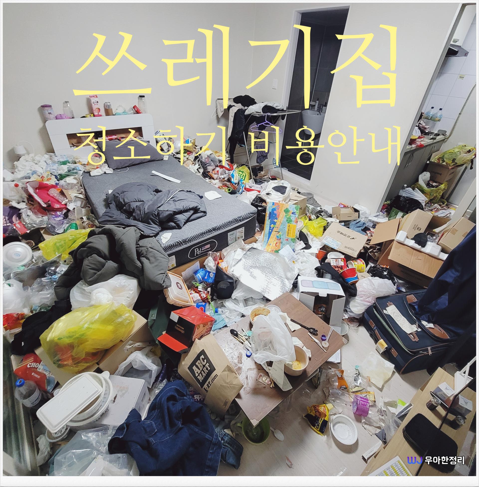 풍납동 쓰레기집청소 전 방안 사진