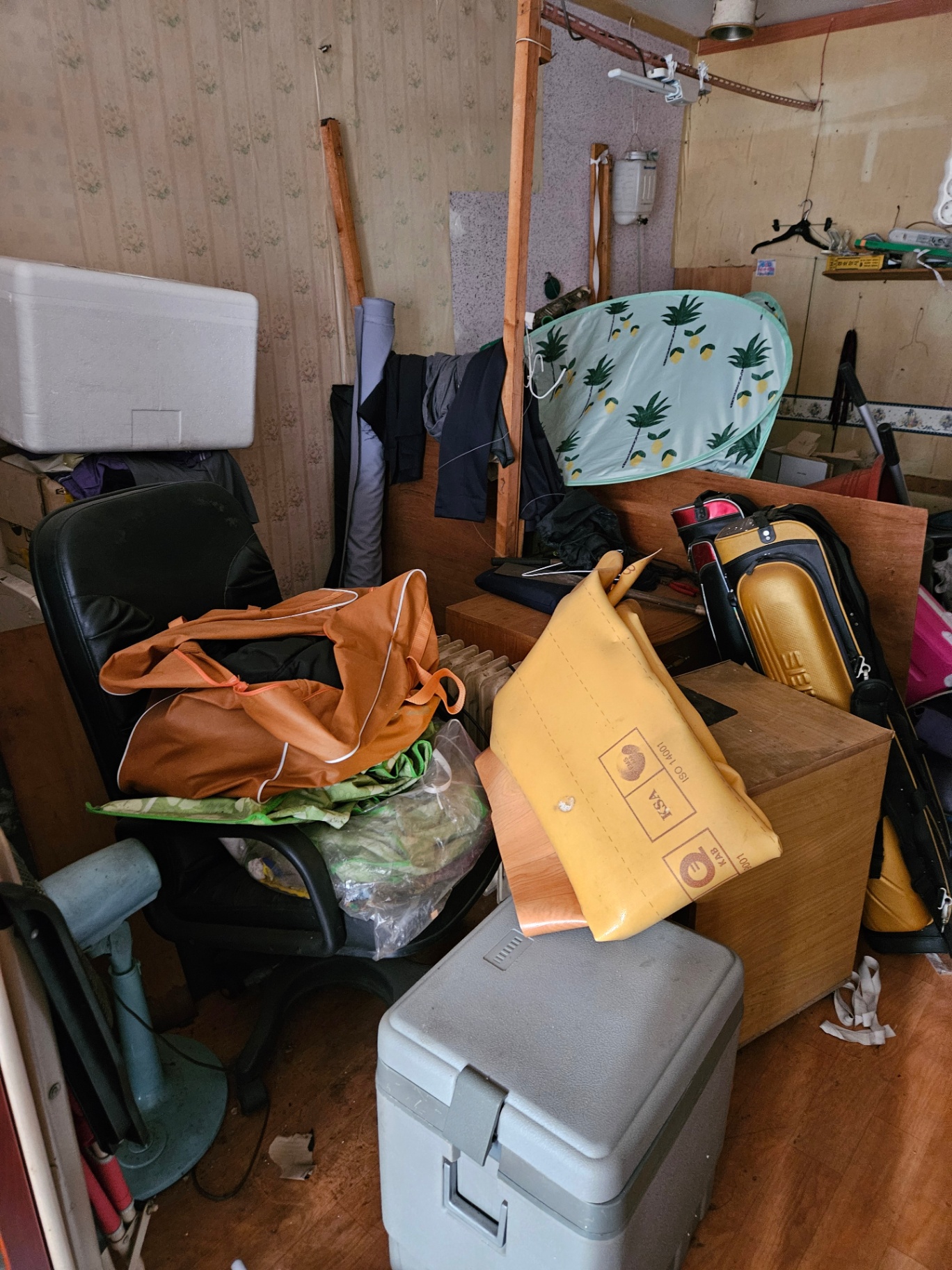 review-post-1778041507949-757ckuskgpd.jpg