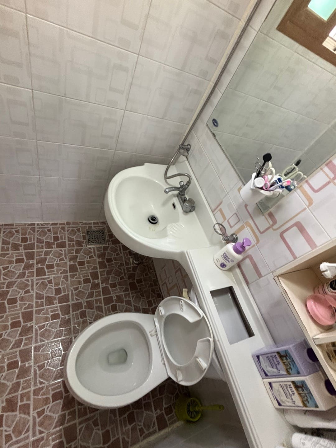 쓰레기집 화장실
