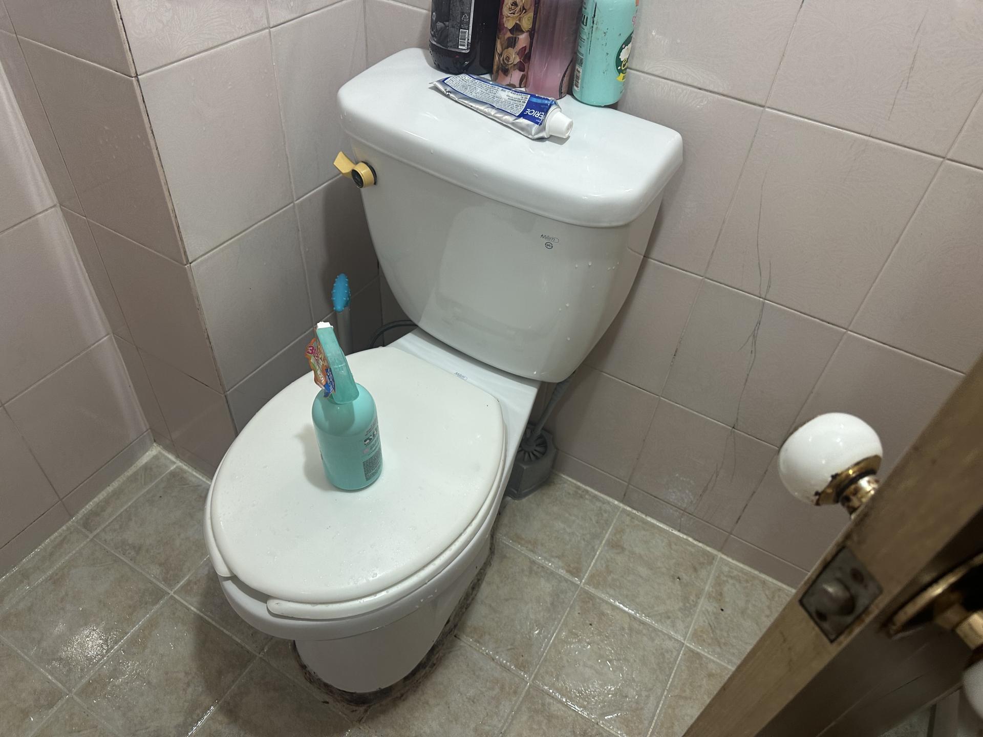 858c5286fd776.jpeg