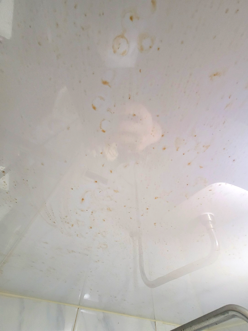 쓰레기집 화장실 천장