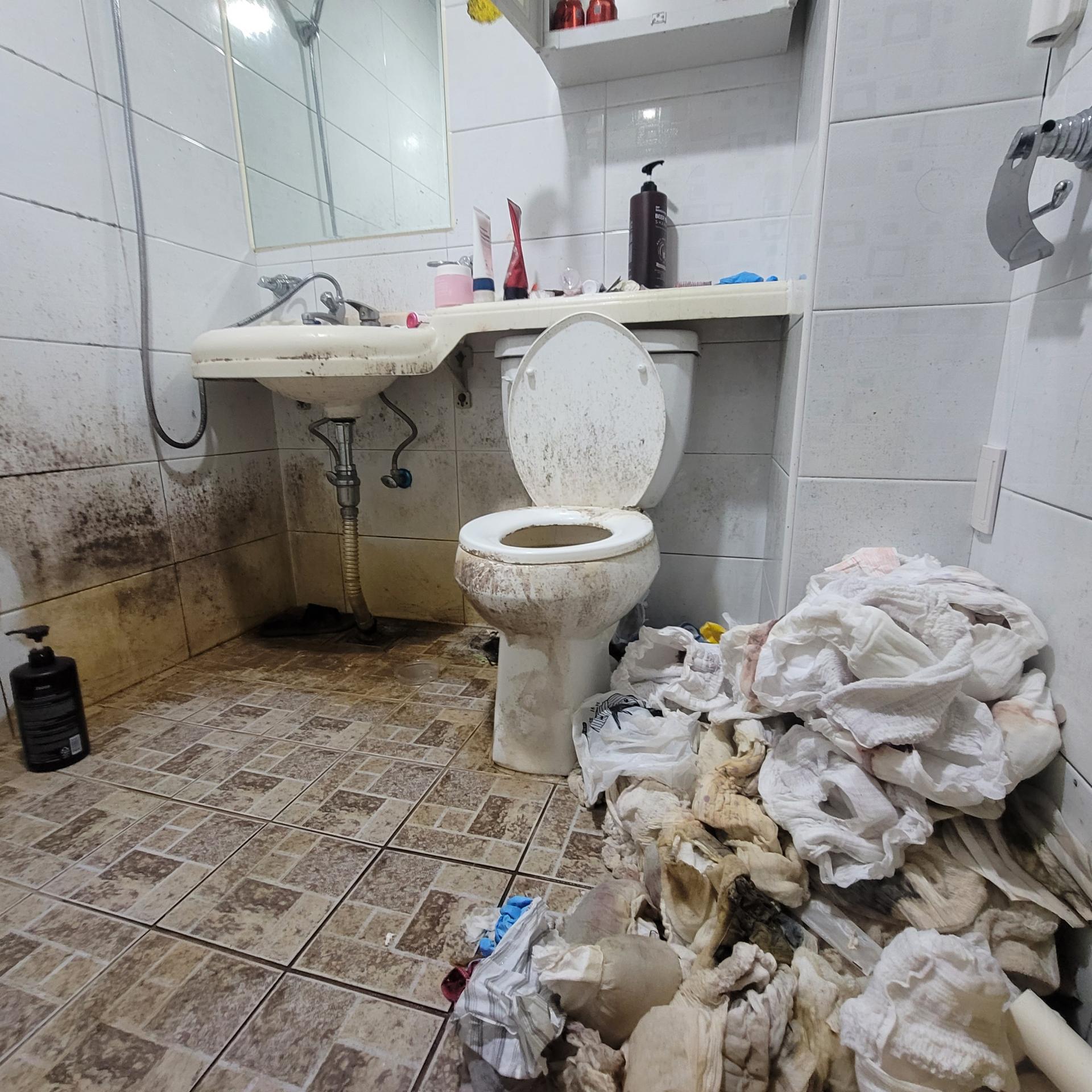 쓰레기집 청소 전 화장실 사진
