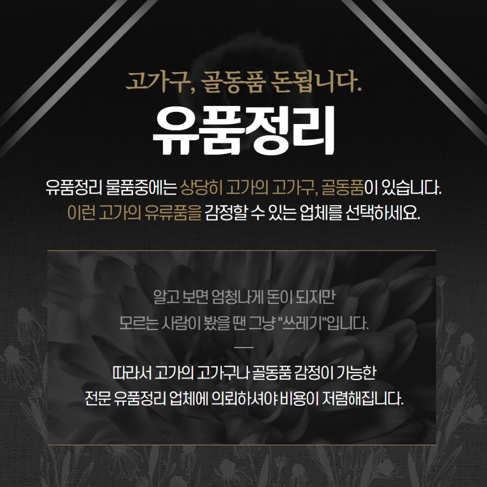 Daegu의 특별 청소 전문가