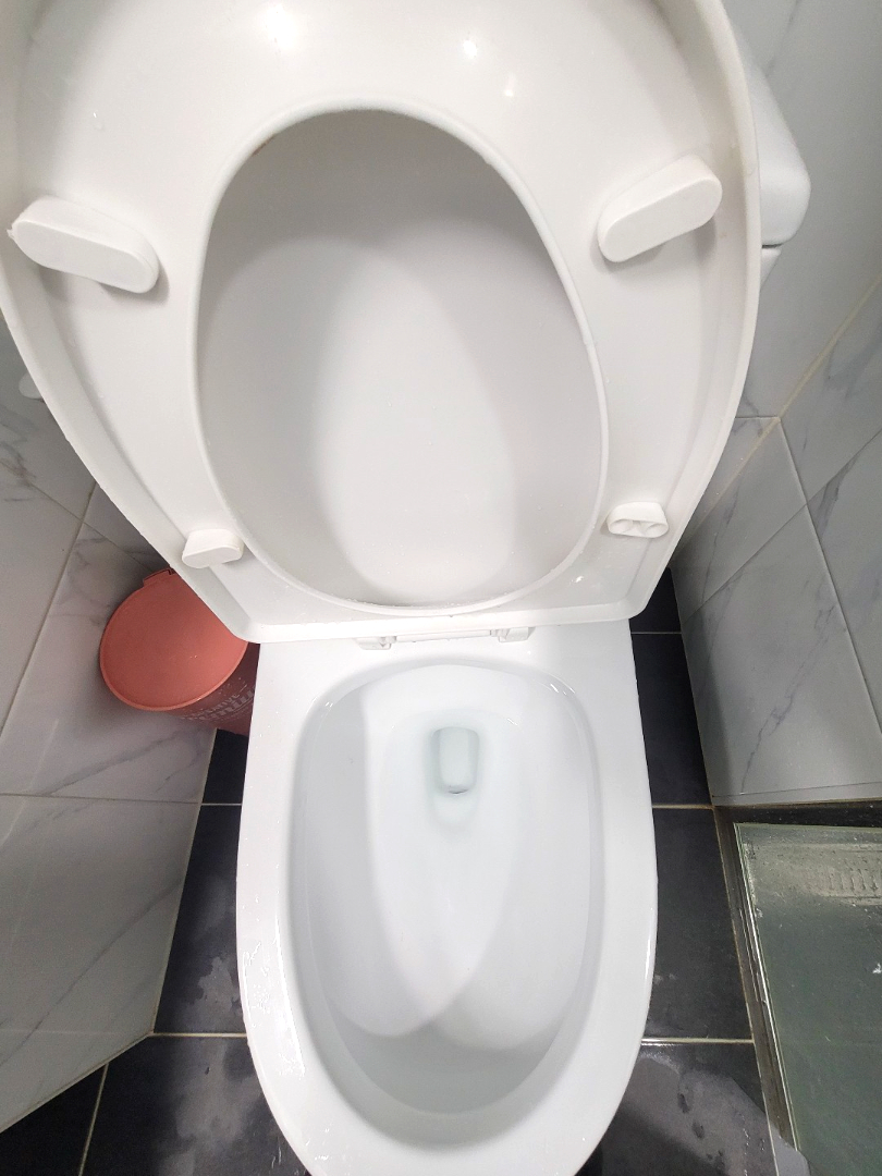 쓰레기집 화장실 변기 전문 청소