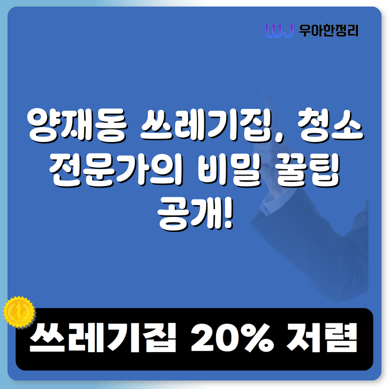 양재동 쓰레기집, 청소 전문가의 비밀 꿀팁 공개! 타이틀이미지