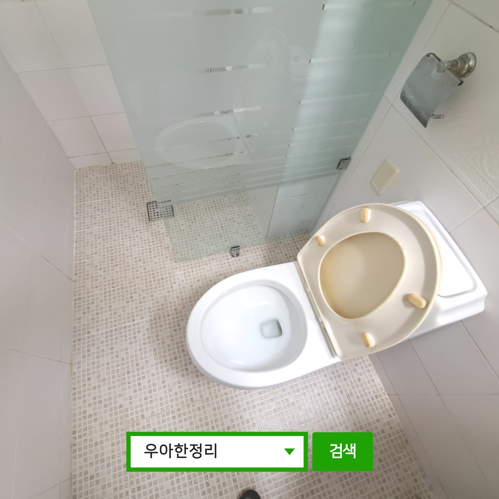 우아한정리 쓰레기집청소 집안청소대행 원룸청소 특수청소 집청소 후 화장실 변기