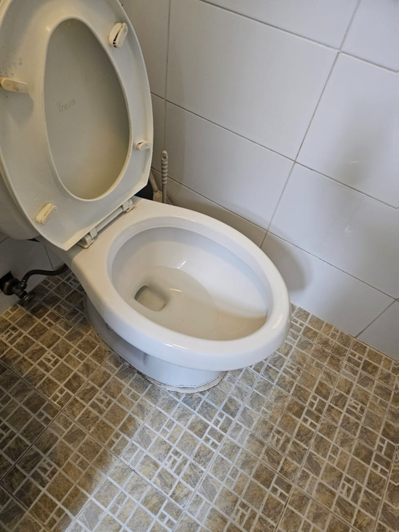 대전 쓰레기집 화장실 변기 청소
