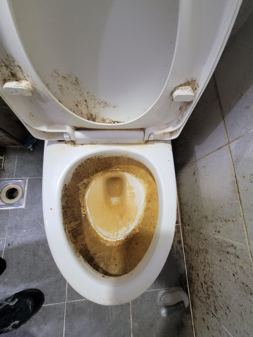 대구 쓰레기집 변기