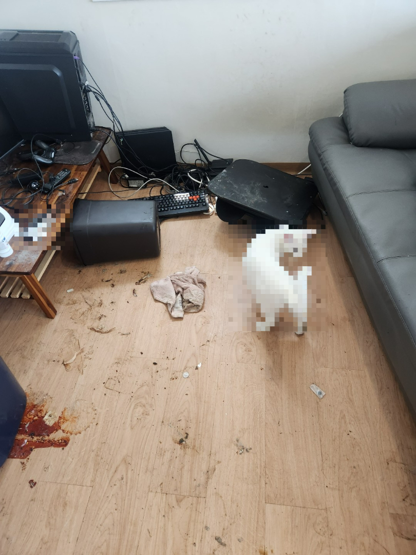 쓰레기집 소파 바닥