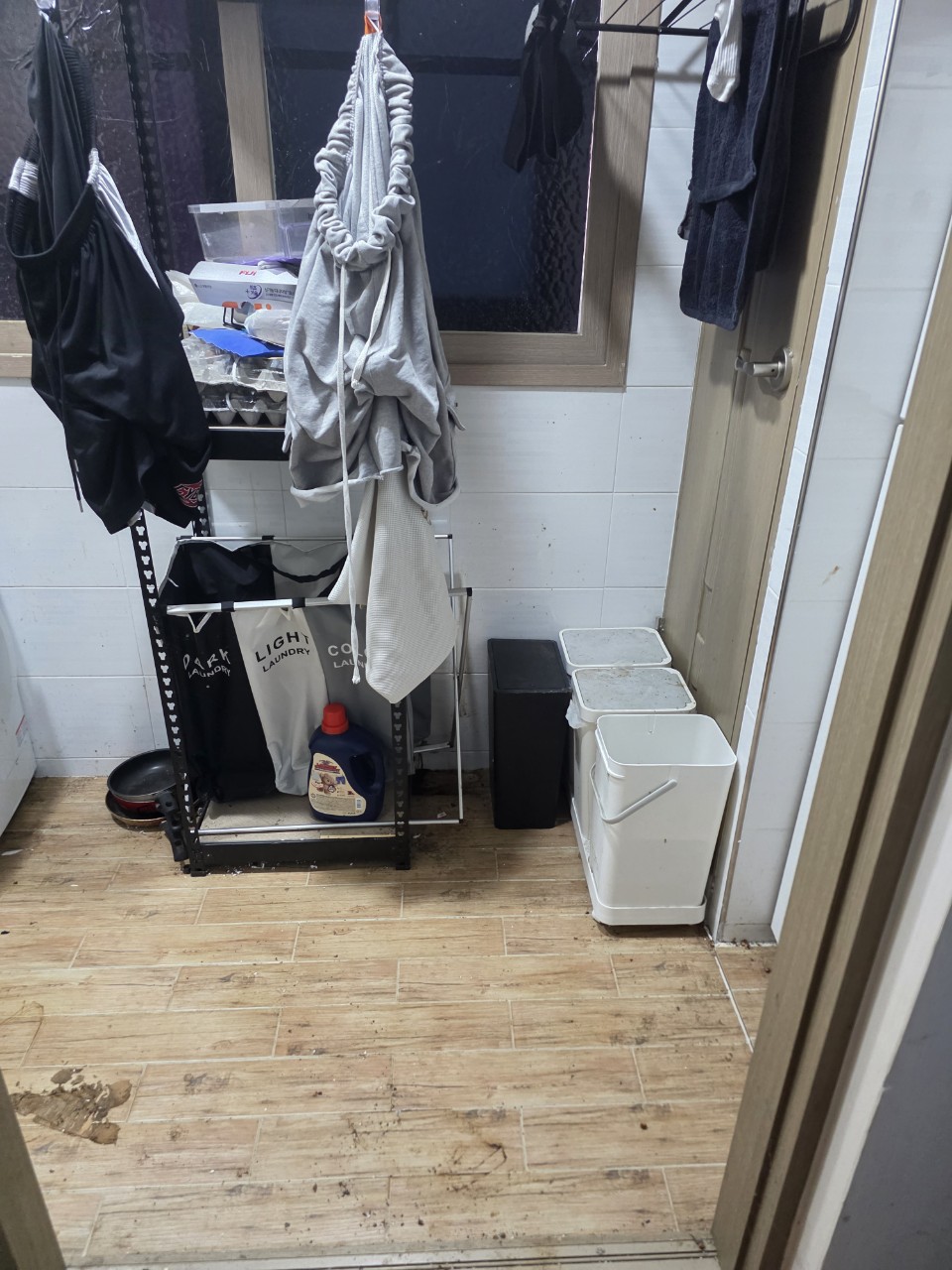 review-post-1782050940091-oeugqpr18d.jpeg