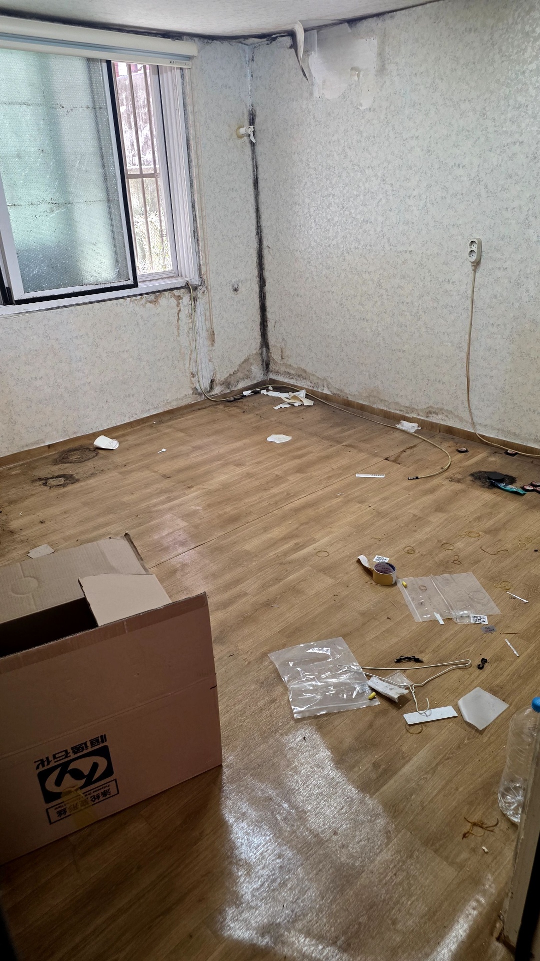 review-post-1780587382286-5tpntbl6wy9.jpg