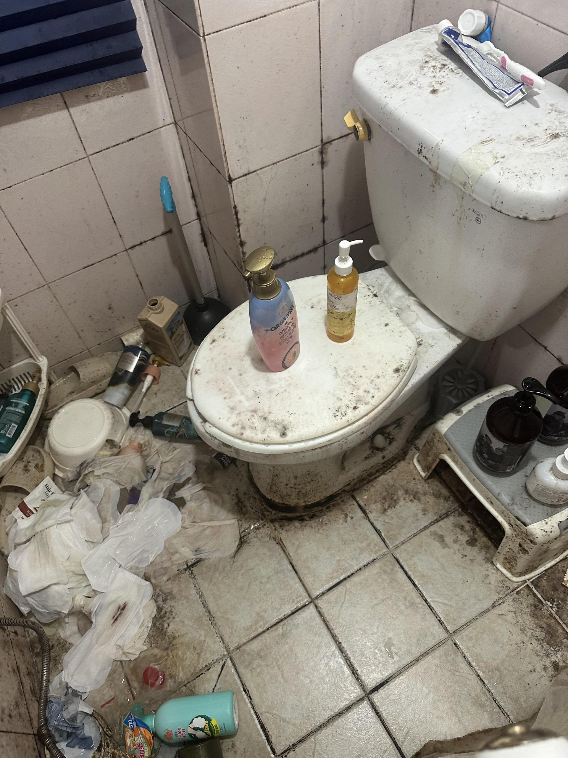 ba46927533750.jpeg