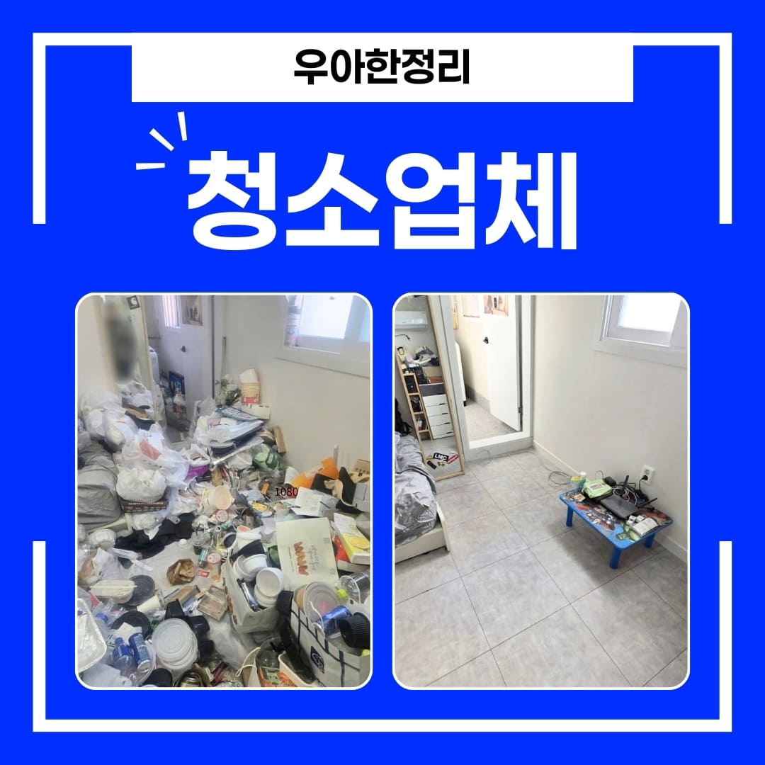 우아한정리 대구 쓰레기 청소 업체, 폐기물 많은 집 탈취, 소독, 방역까지