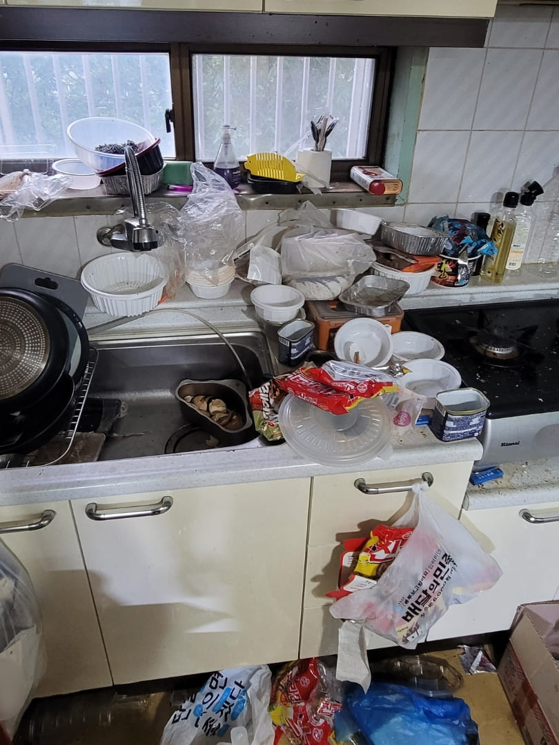 싱크대 특수청소