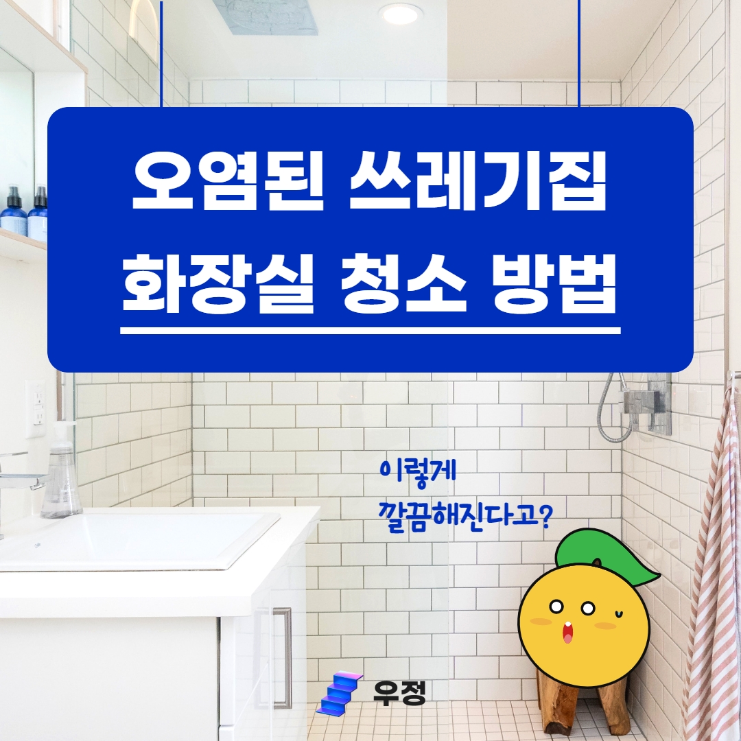 쓰레기집을 예시로 하는 화장실 욕실 청소 방법과 순서