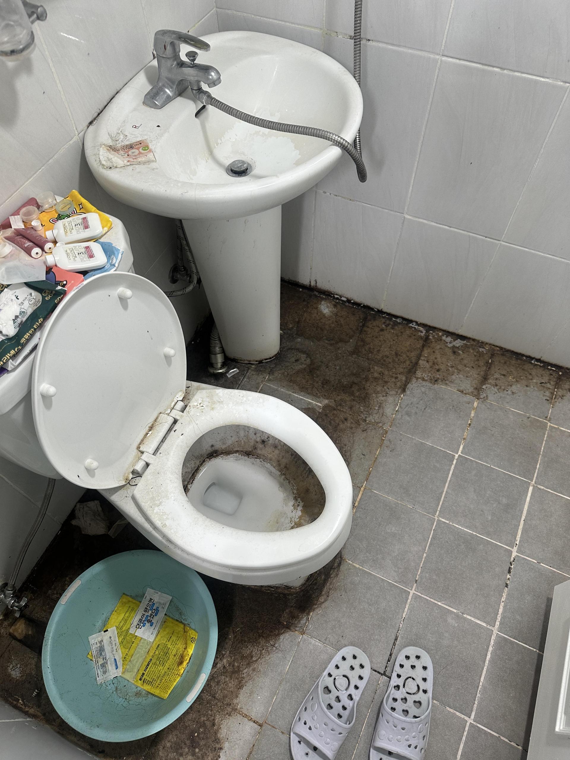 c910171086277.jpeg