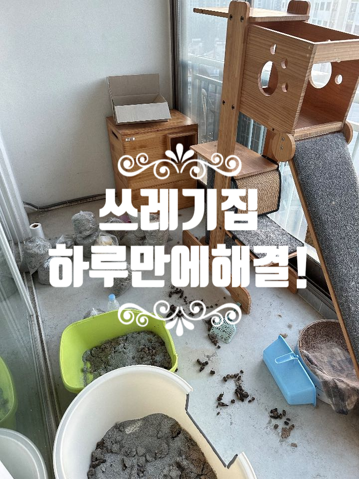 고양이 똥 쓰레기집 청소 전 사진