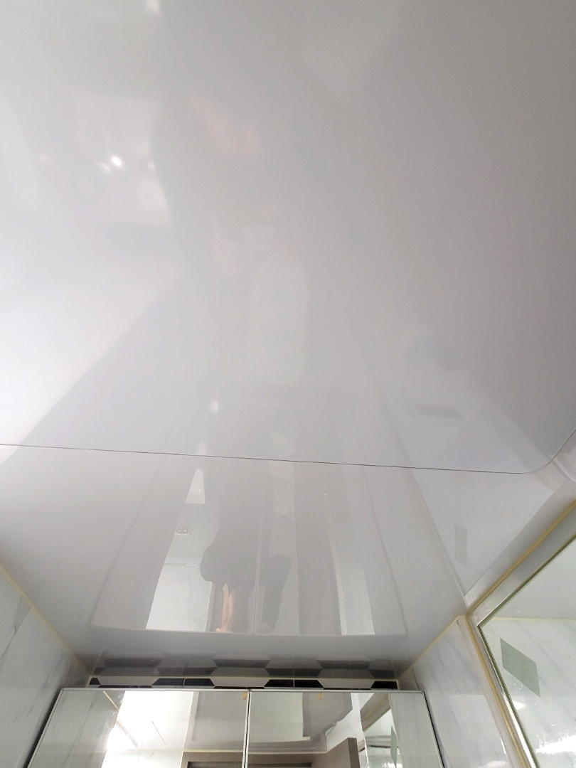 쓰레기집 화장실 천장 전문 청소