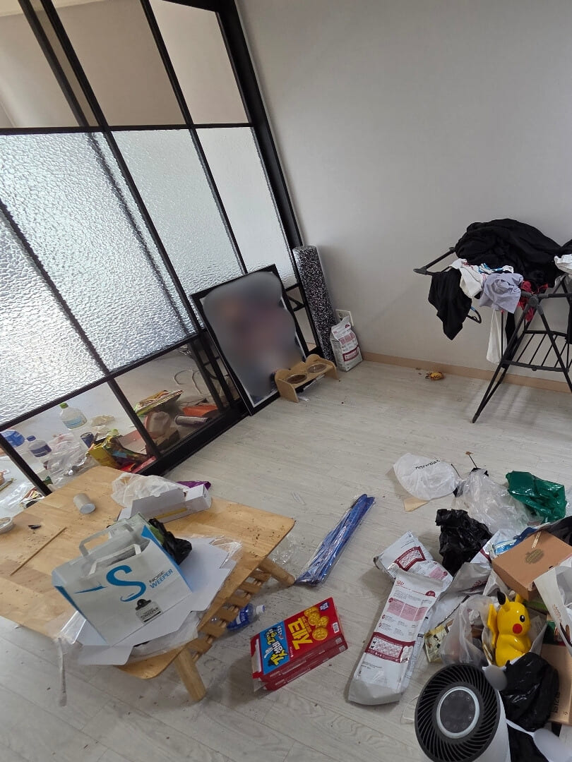 거실 쓰레기집특수청소