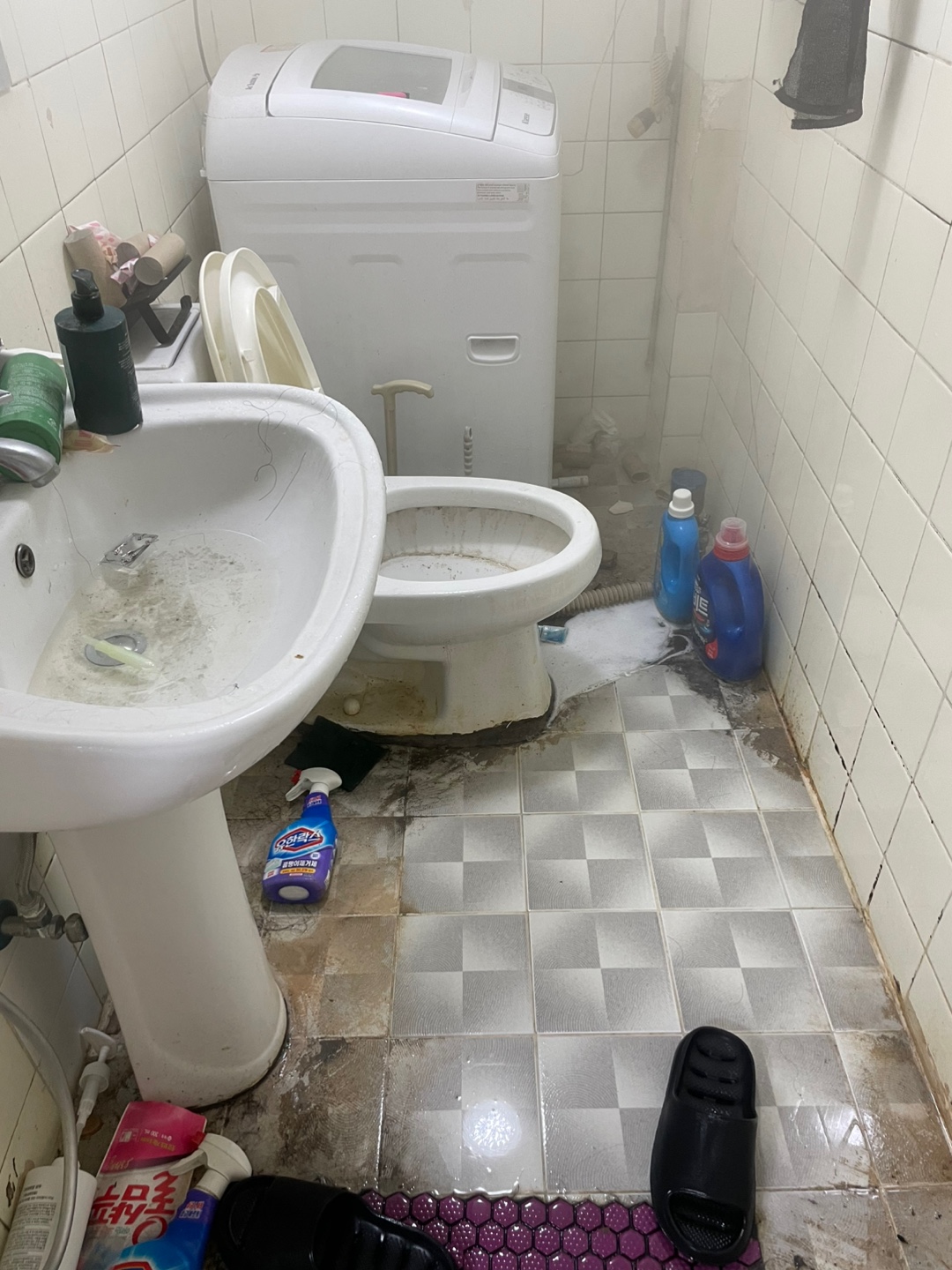 d9735b6b75312.jpeg