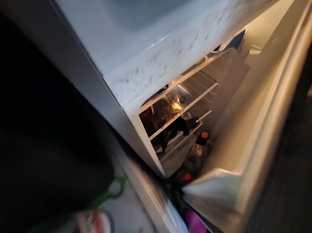 쓰레기집 냉장고