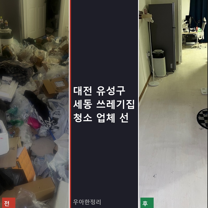 세동 쓰레기집청소 비용 업체 후기