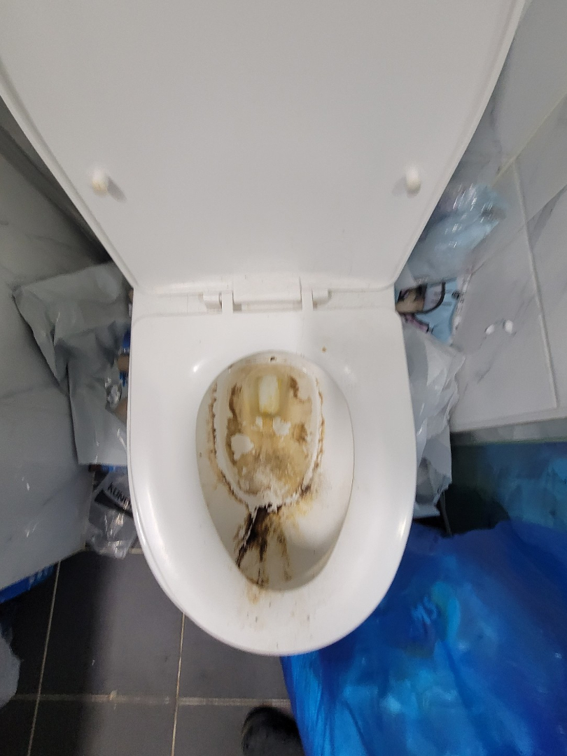 쓰레기집 화장실 변기