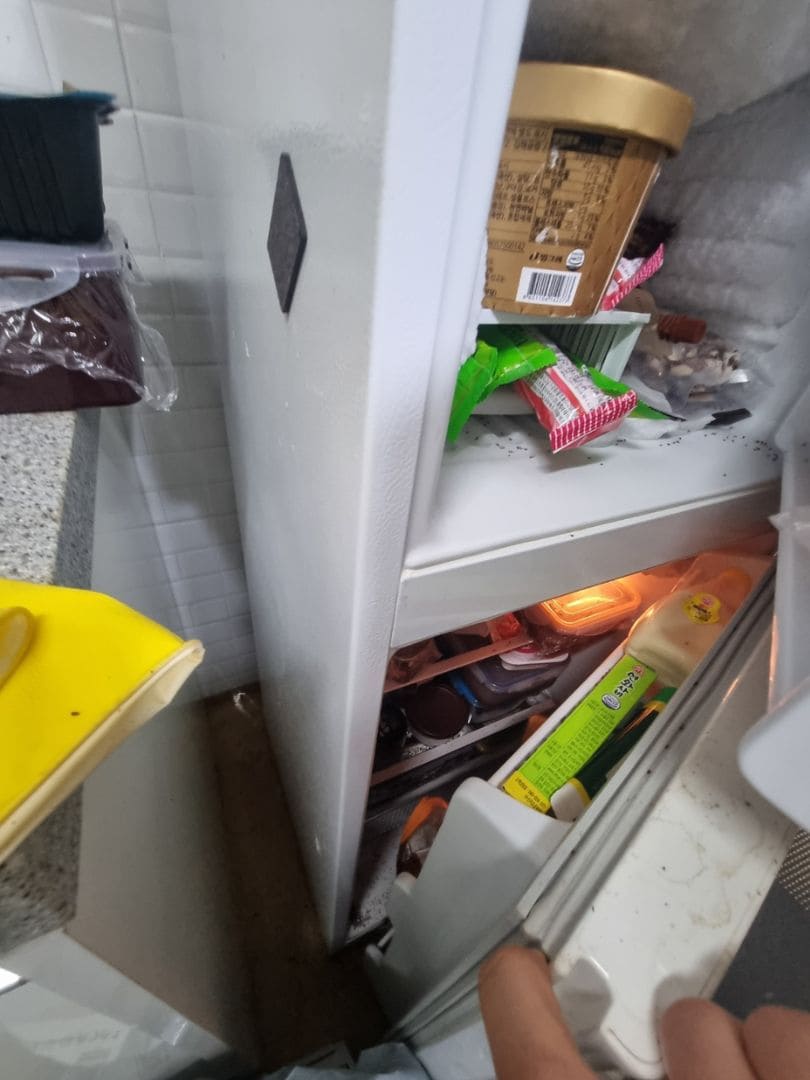 쓰레기집 냉장고