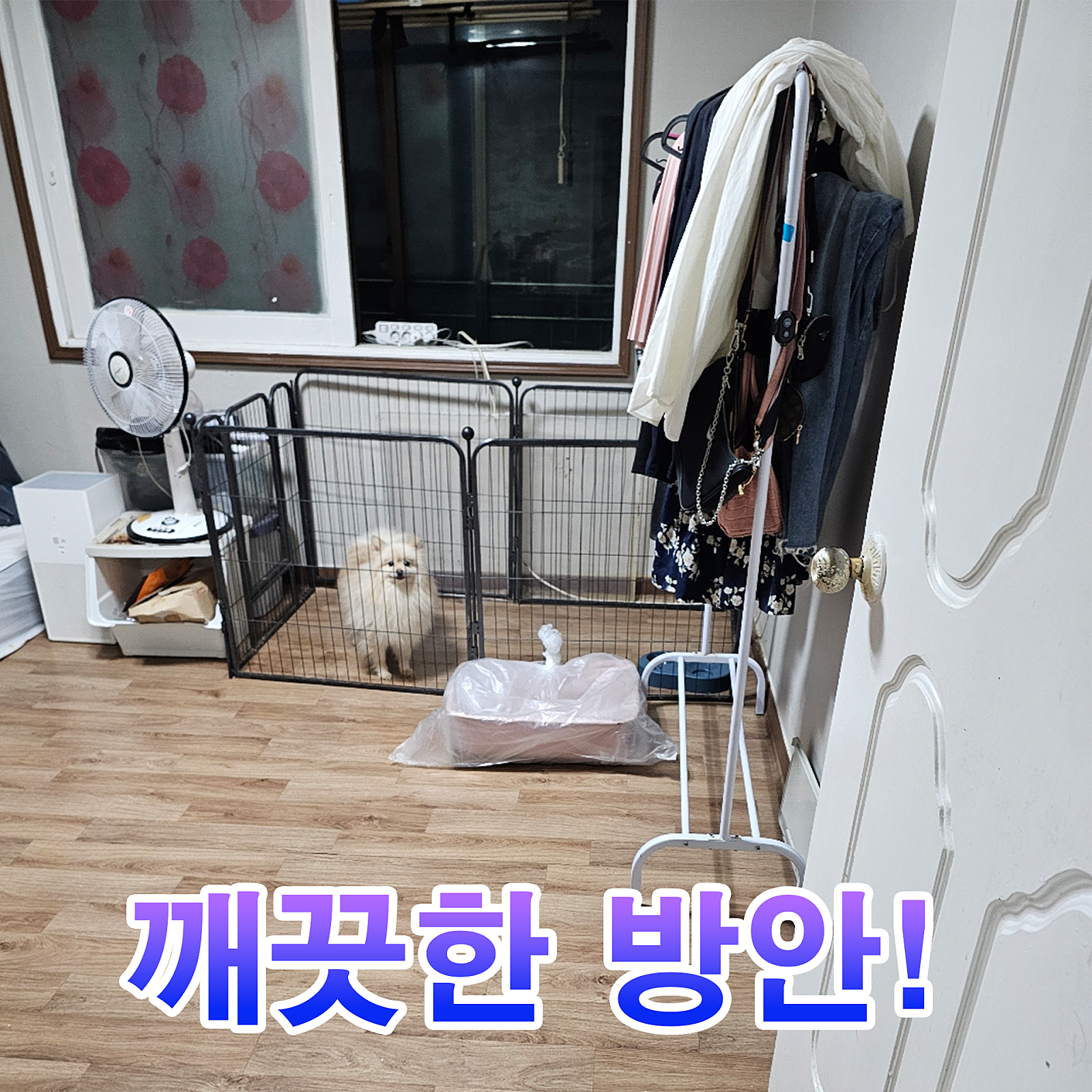공통이미지