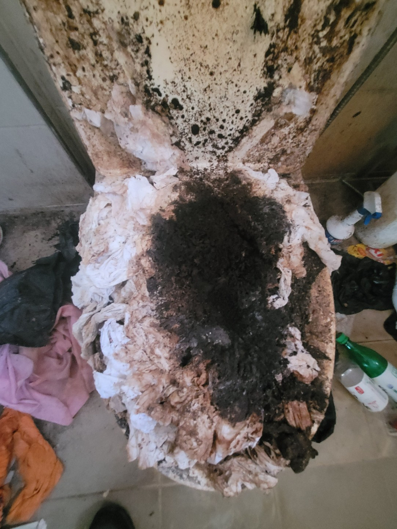 하남시 춘궁동, 저렴한 원룸 청소 비법 대공개! 작업전 이미지