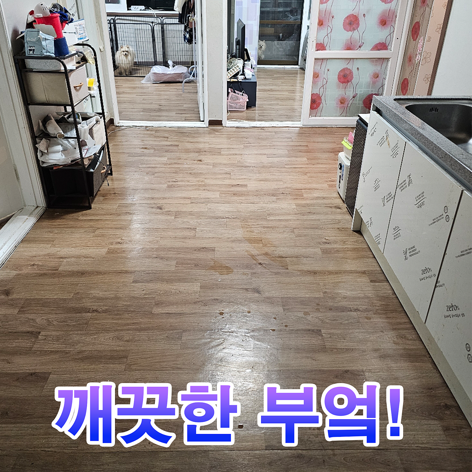 공통이미지
