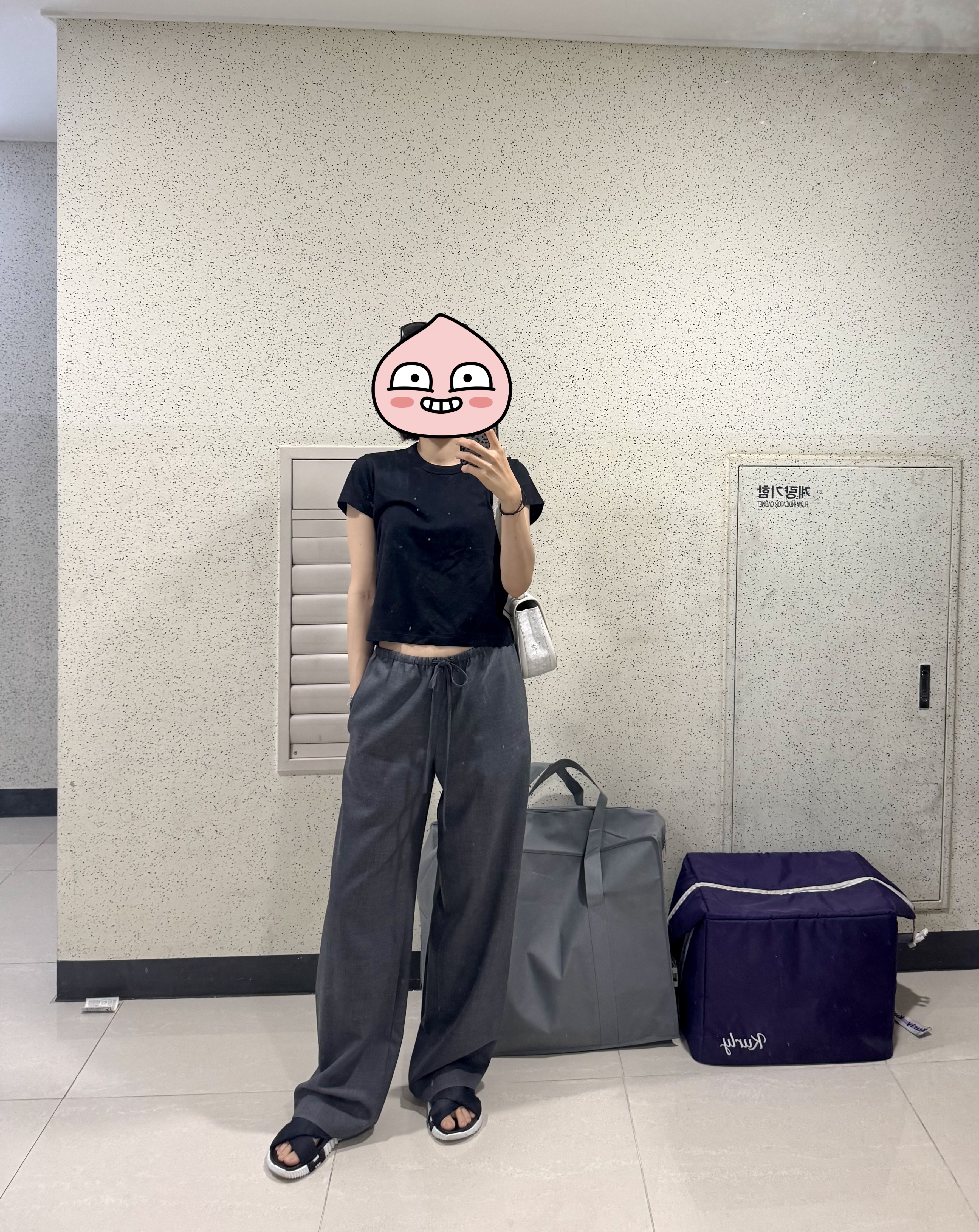 3c5afb7855a85.jpeg