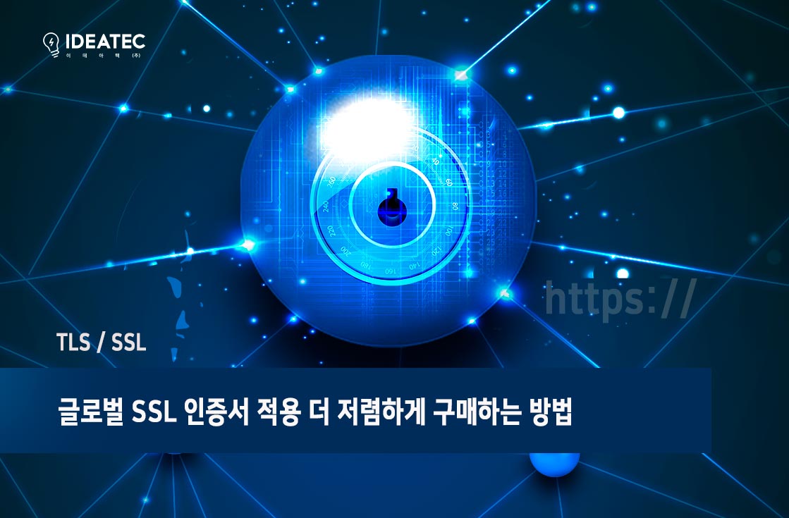 글로벌 SSL 저렴한 구매