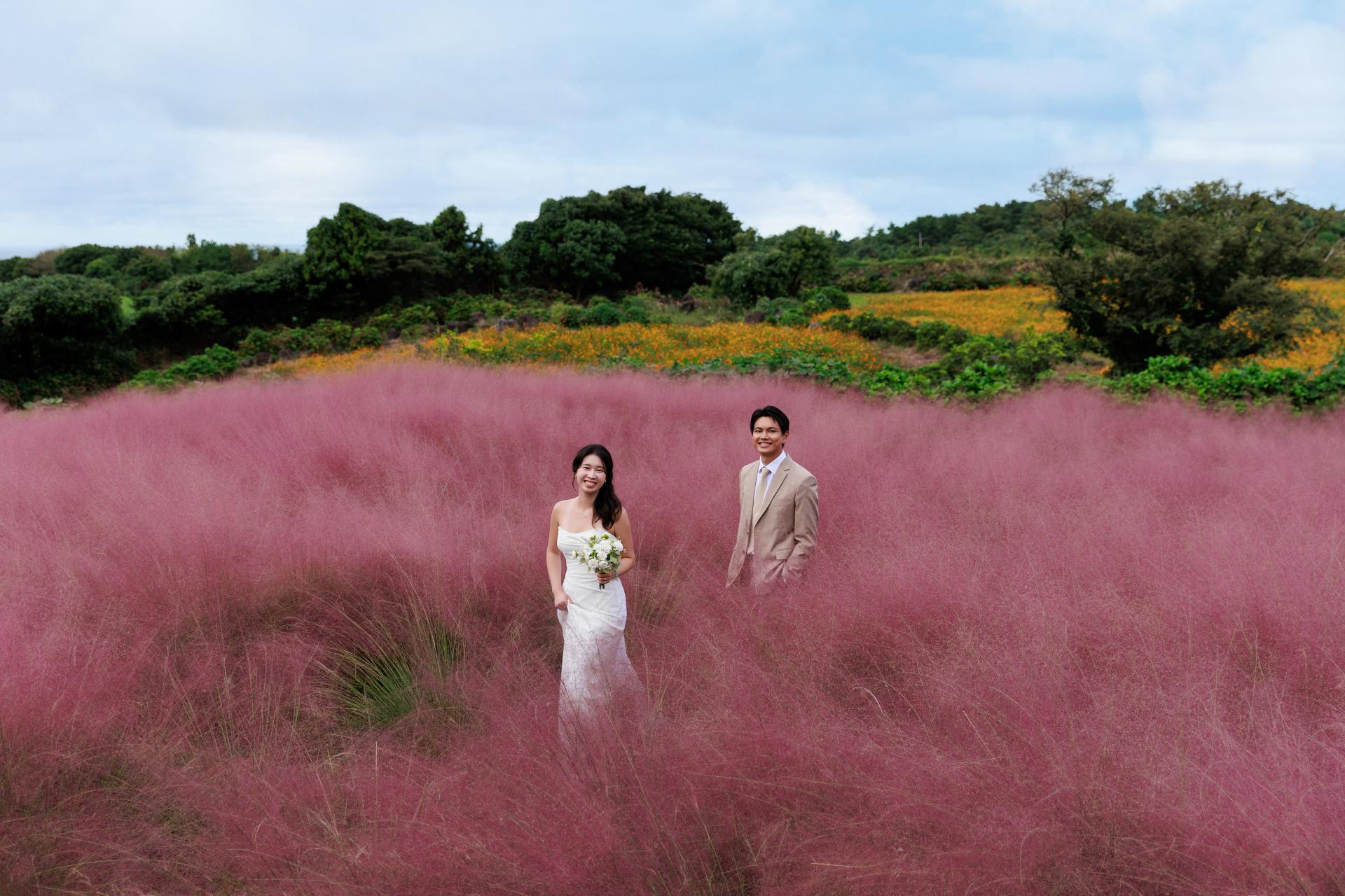 71d6e82843296.jpg