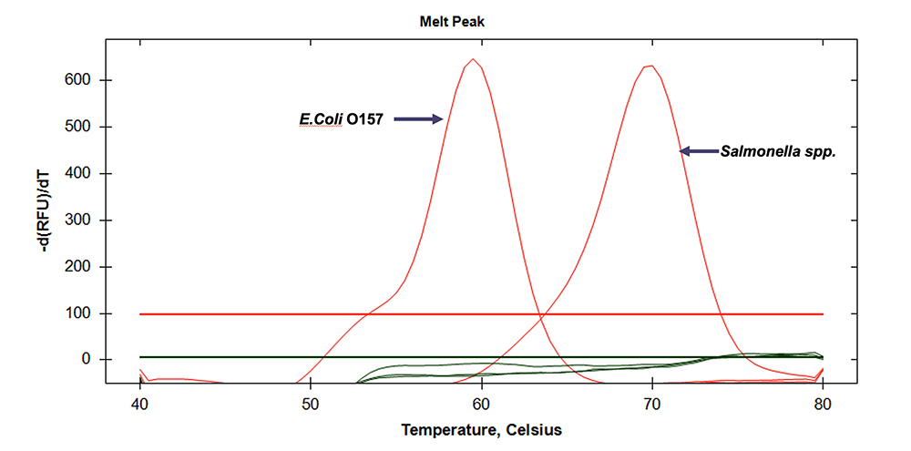 2ec51085f1191.png