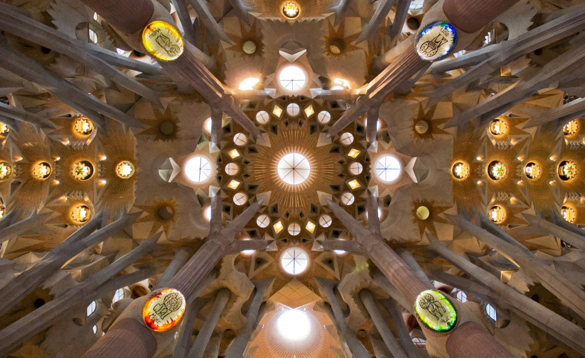 2a8d1695edcfe.jpg