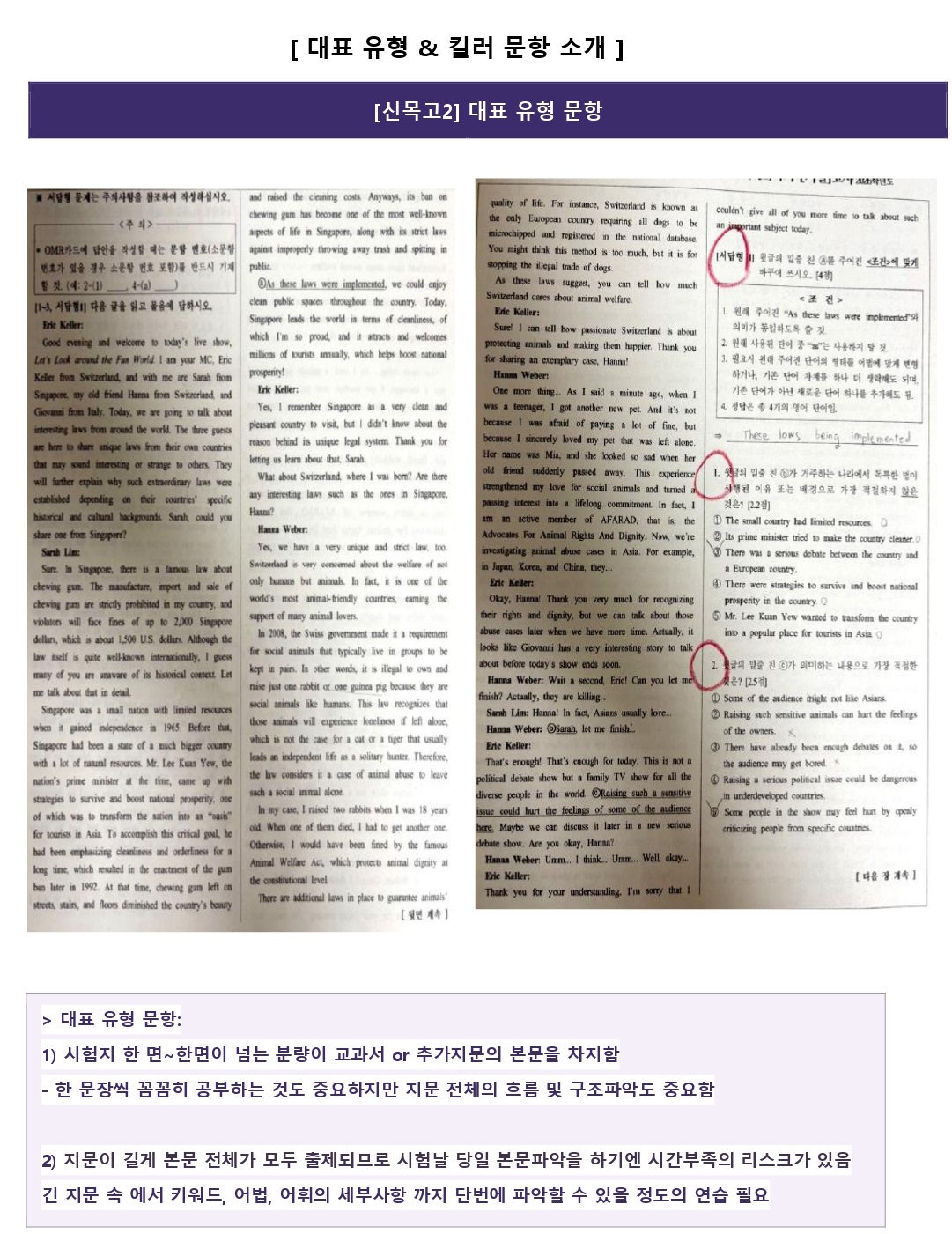 226b12de1c2e2.jpg