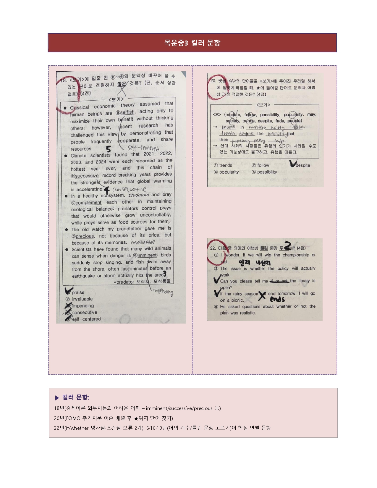 9816a64578d44.jpg