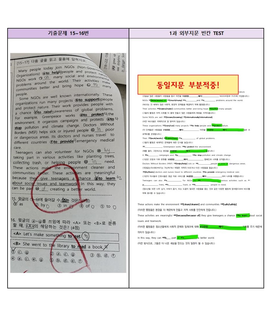 b3648fd6c23eb.jpg