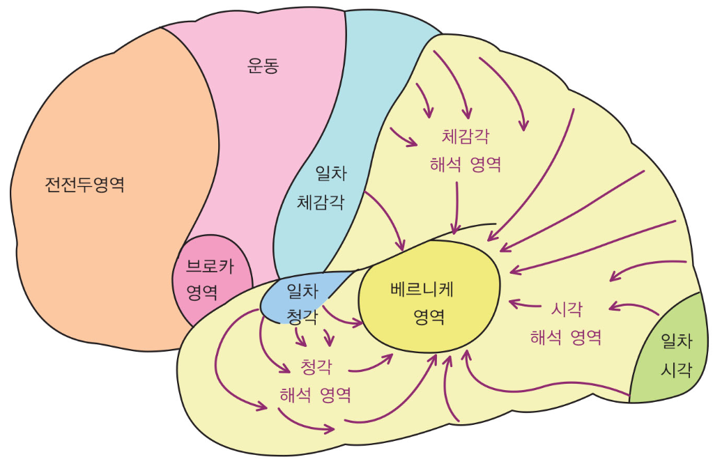 44b7314352b20.png