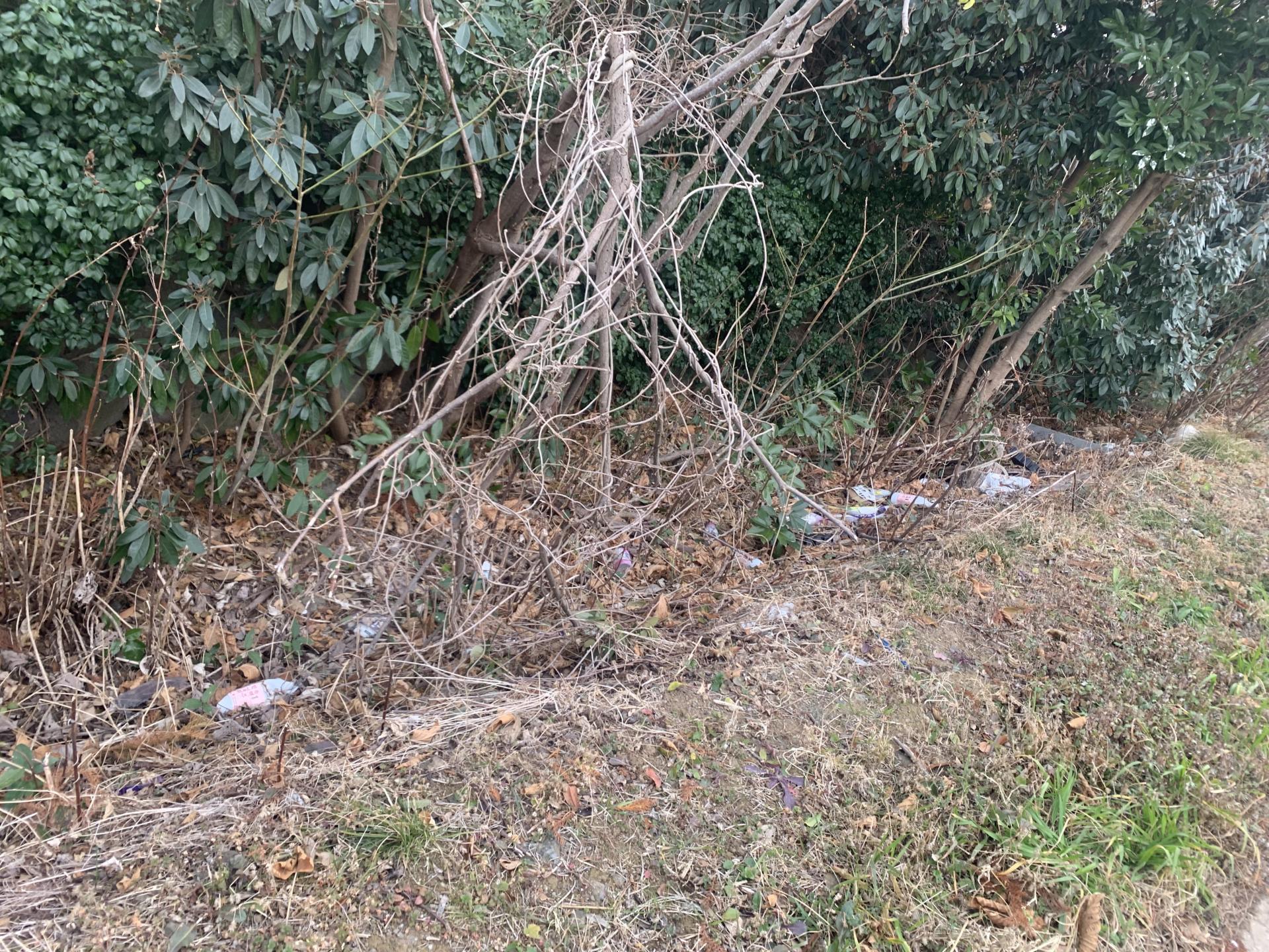 89a40577ca877.jpeg