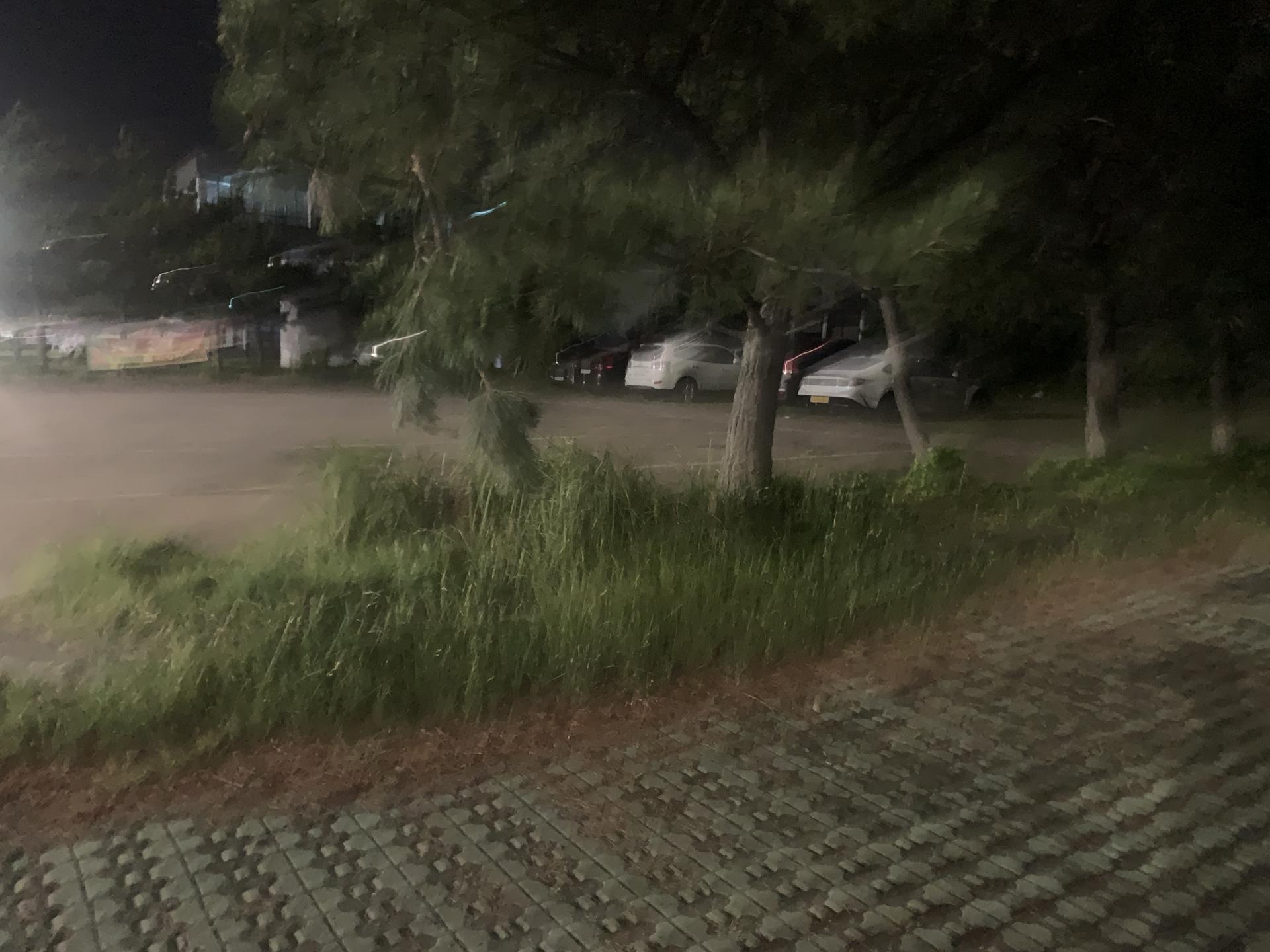 aa1abe8d6e49d.jpeg