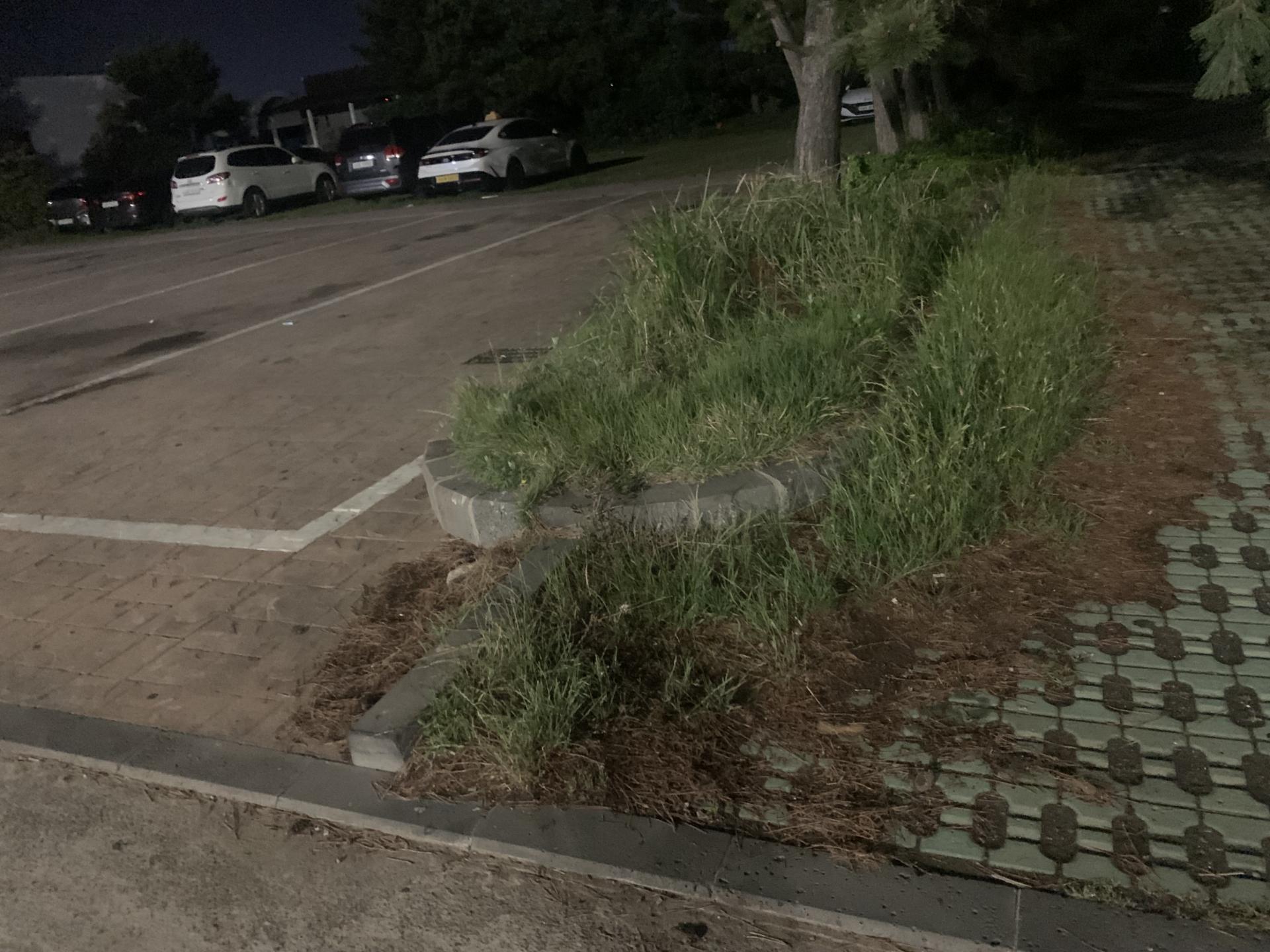 bd7d48217a7f5.jpeg