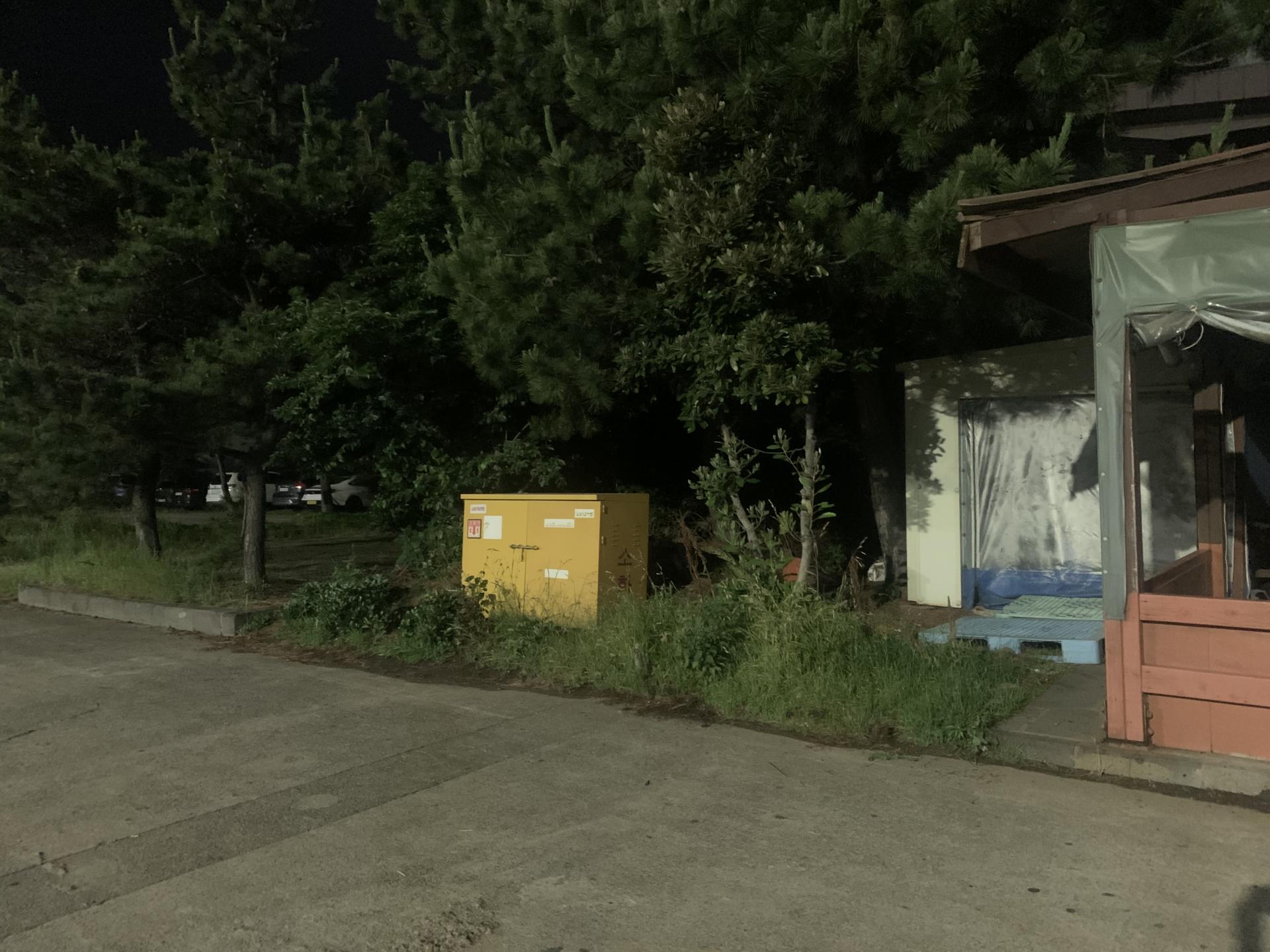 e98290a334967.jpeg
