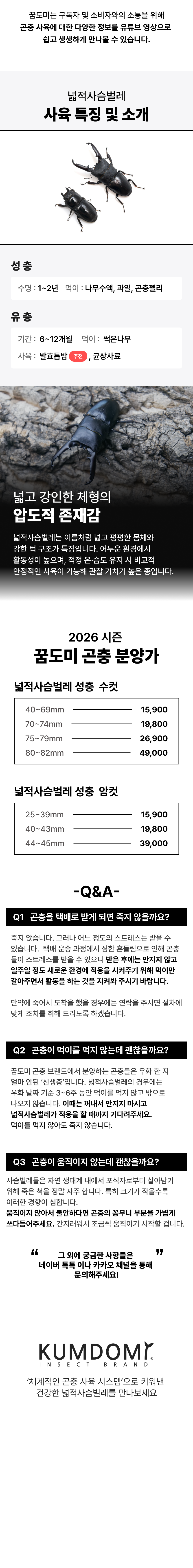 넓적사슴벌레 성충 한쌍