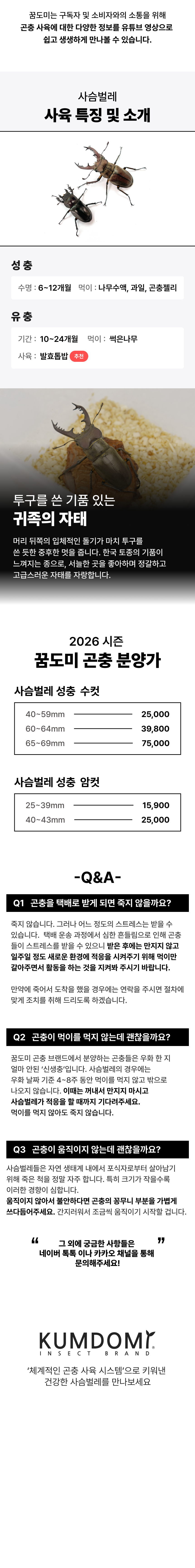 걍사슴벌레 참사슴벌레 성충 한쌍