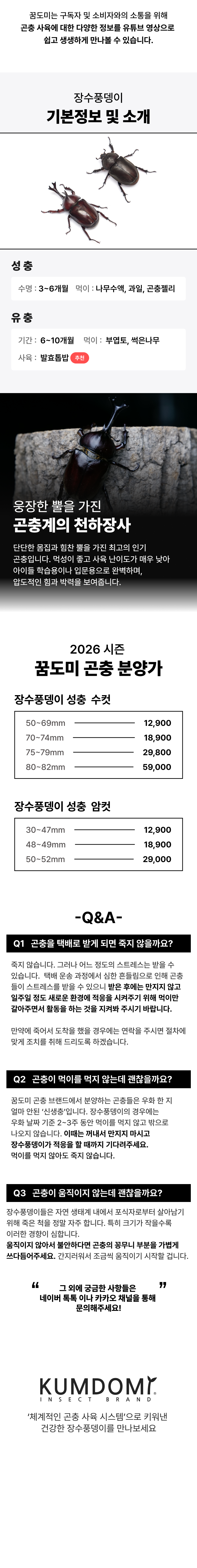 장수풍뎅이 대형 한쌍 키우기