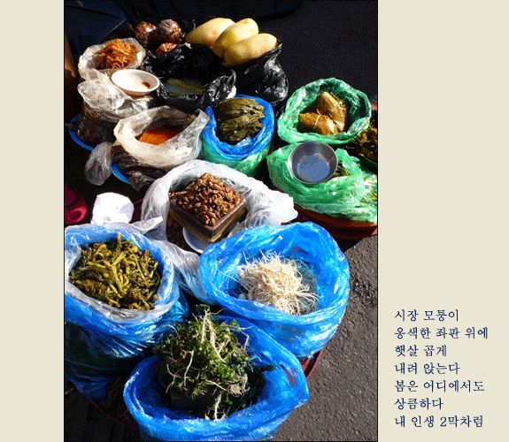 b33374777214a.png